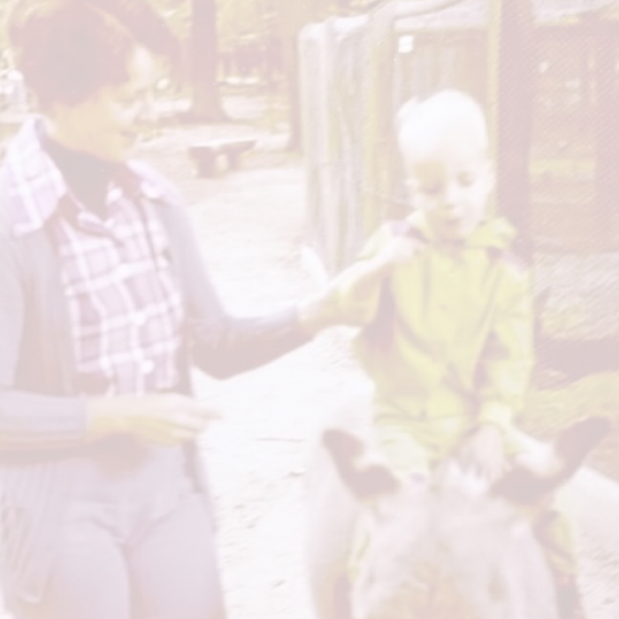 Hendrik Wüst, Jahrgang 1975 Hendrik Wüst, Jahrgang 1975